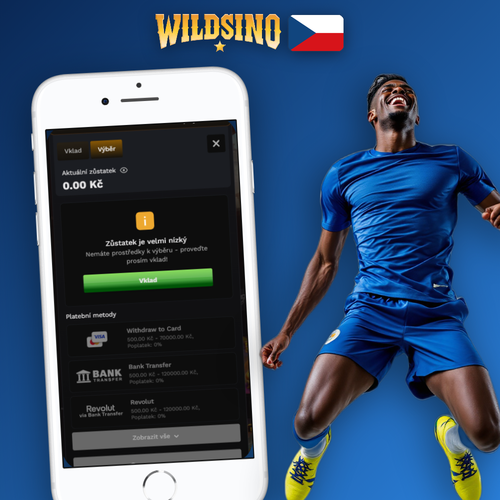 Wildsino výběr peněz – peněženka, mince v CZK a ikonky platebních metod